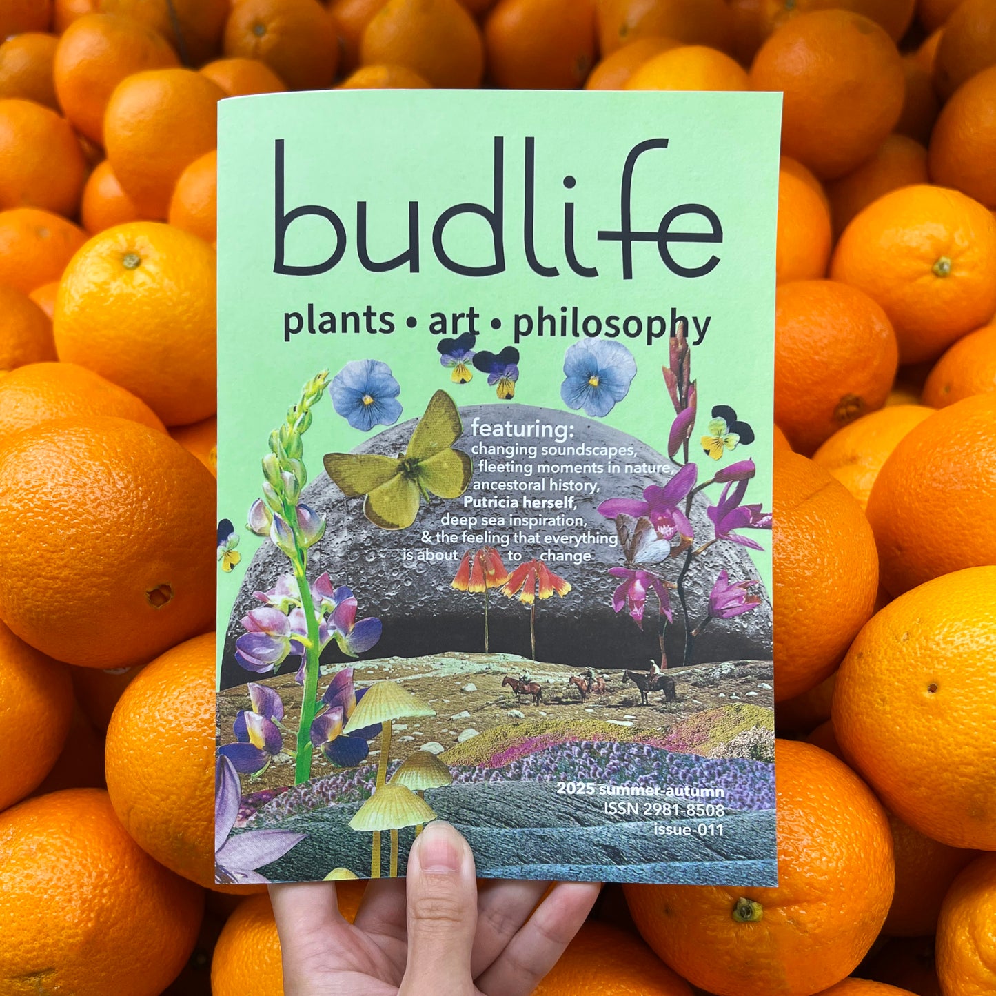 budlife magazine issue 011: summer/autumn 2025
