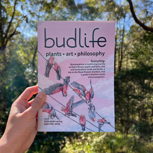 budlife magazine issue 017: winter/spring 2026